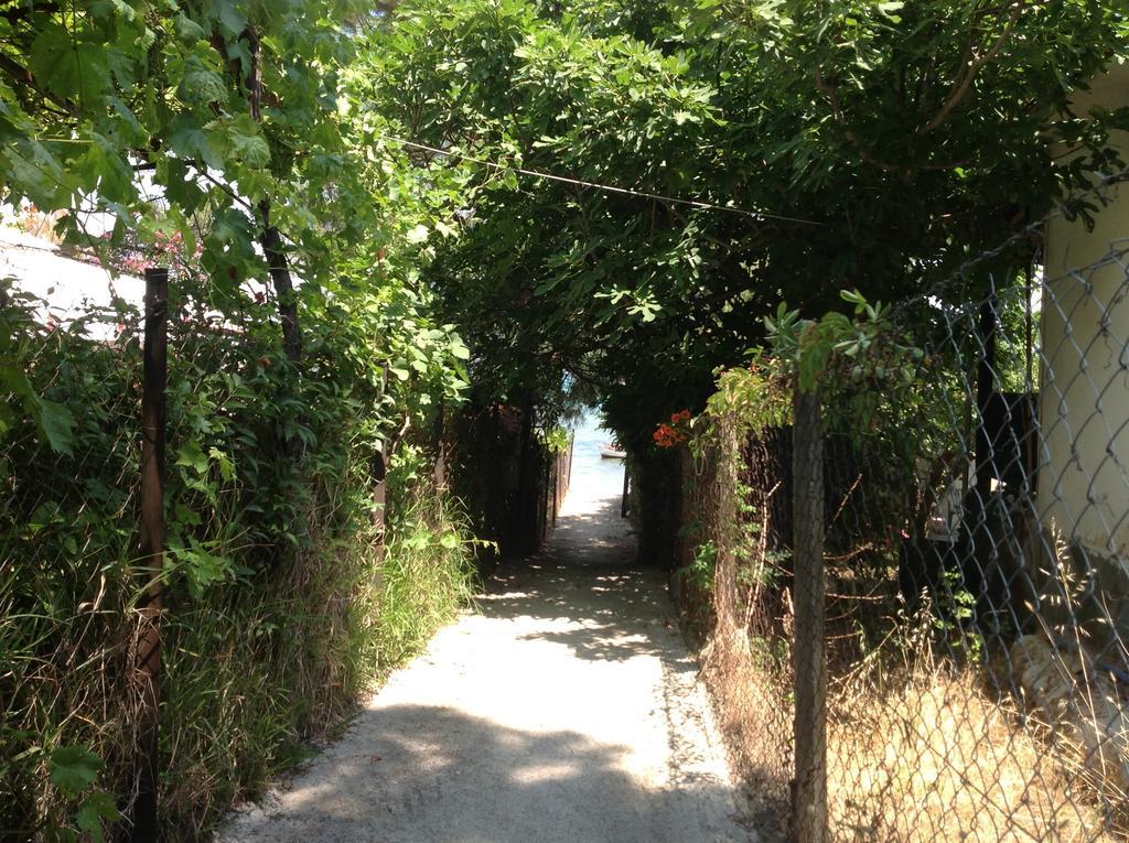 Elena Apartments Nikiti  Dış mekan fotoğraf