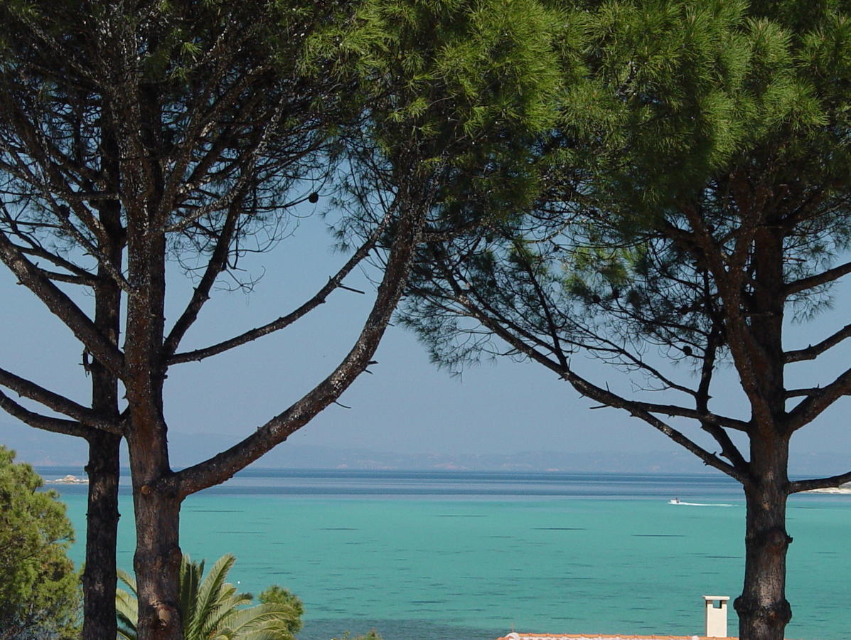 Elena Apartments Nikiti  Oda fotoğraf